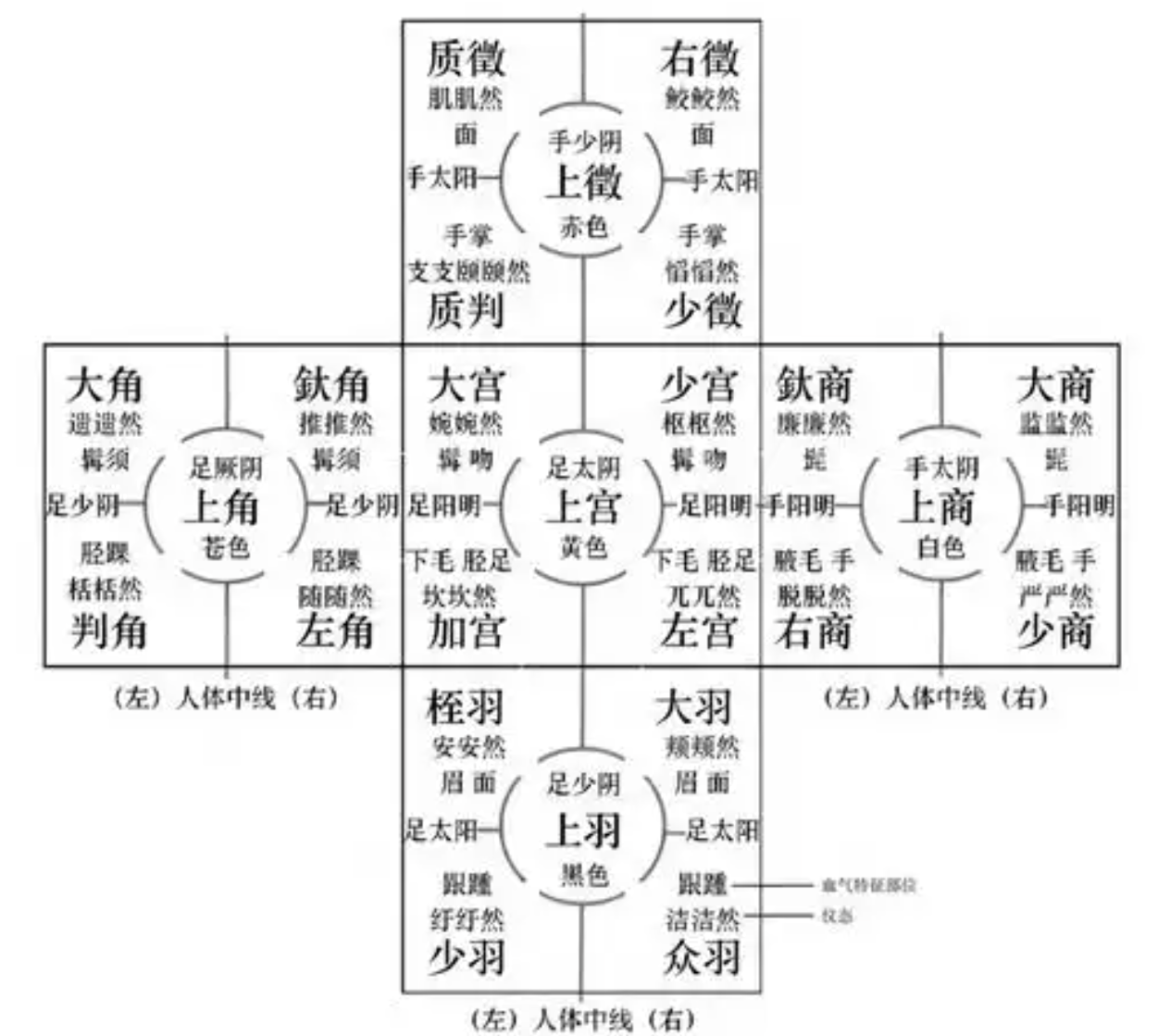 21-五行互涵模型（體質與藥精細分） raw02
