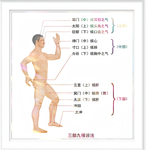 29-九宮八風空間與診法模型 raw03