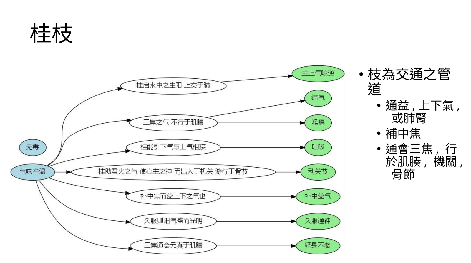 桂枝枝形通道與氣機交通圖