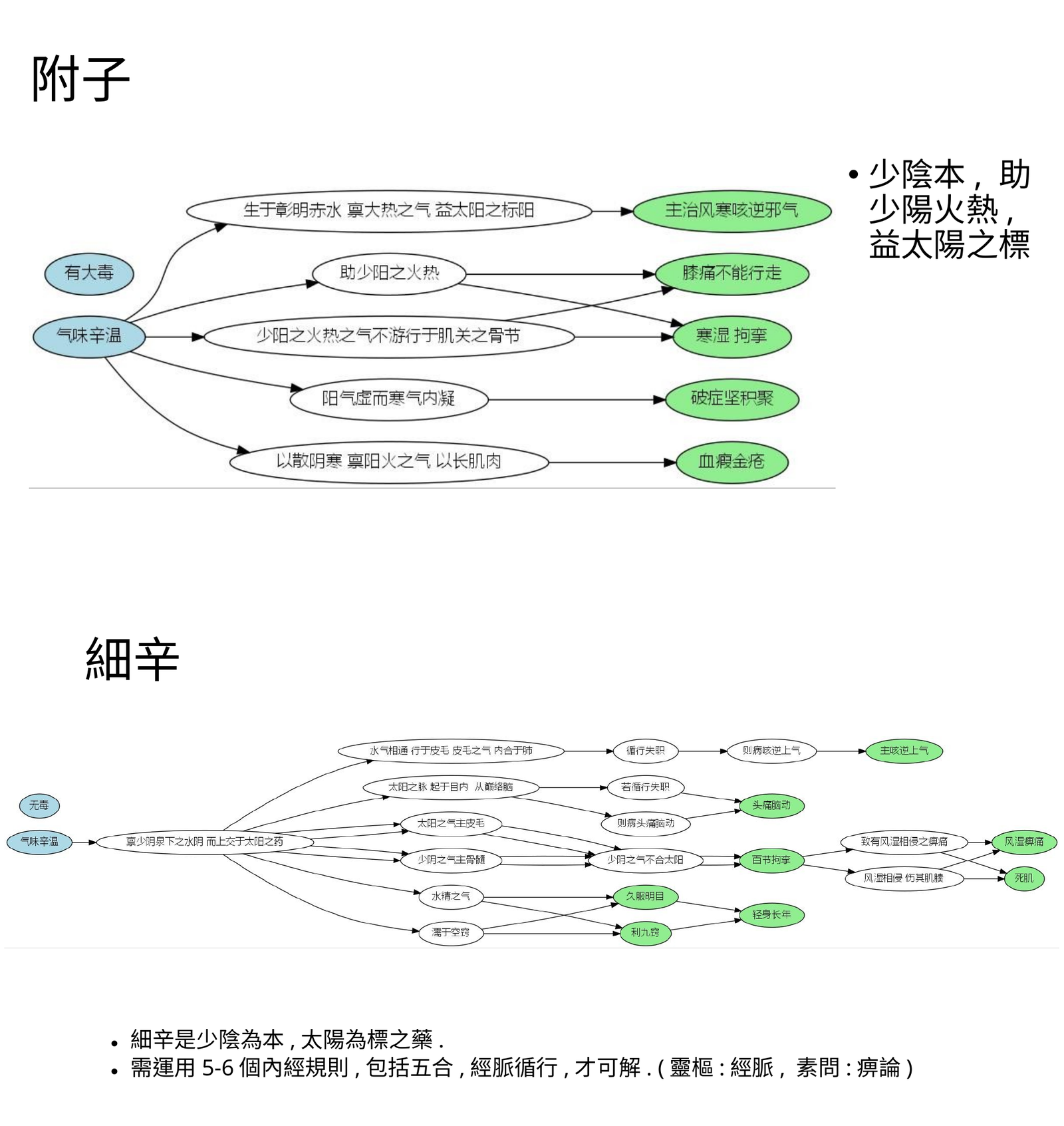 附子細辛少陰太陽標本關係圖